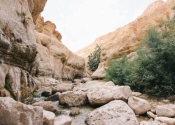 Mosaicos do Sansão bíblico são descobertos em escavação na Galileia