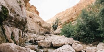 Mosaicos do Sansão bíblico são descobertos em escavação na Galileia