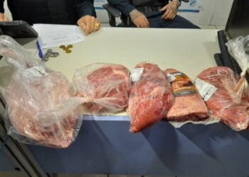 Homem tenta furtar quase 300 reais em carnes e peixe na Capital