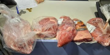 Homem tenta furtar quase 300 reais em carnes e peixe na Capital