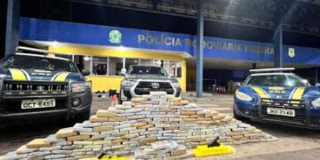 Policiais civis de Rondônia são presos com 200 kg de drogas