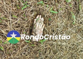 Cachorro é visto com pé humano na boca em Porto Velho