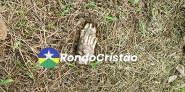 Cachorro é visto com pé humano na boca em Porto Velho