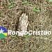 Cachorro é visto com pé humano na boca em Porto Velho