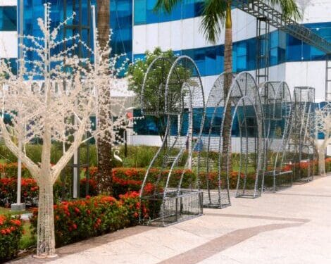 CONVITE – Programação do “Natal de Luz” promete encantar o público durante abertura, nesta terça-feira