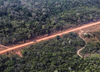 Aprovado, na Câmara dos Deputados, projeto de Lei da BR-319