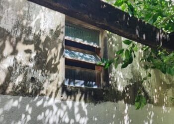 Jovem é apreendido pela Polícia Militar após filmar vizinha