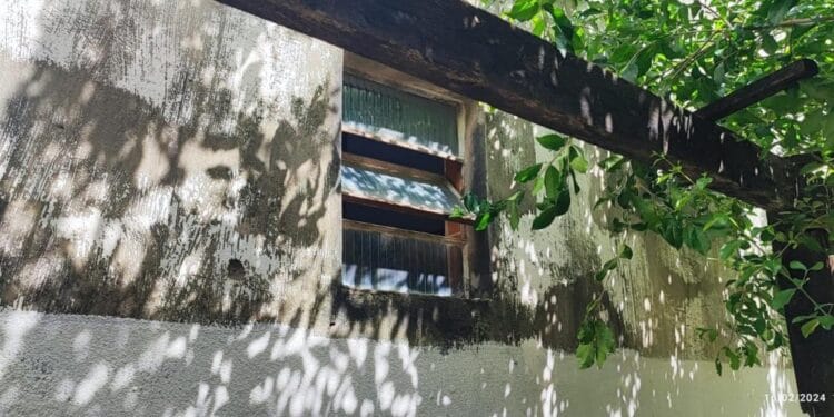 Jovem é apreendido pela Polícia Militar após filmar vizinha