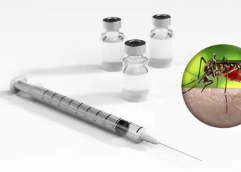 Número de casos de Dengue ultrapassa 500 mil no Brasil em 2024