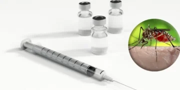 Número de casos de Dengue ultrapassa 500 mil no Brasil em 2024