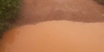 ABANDONO: Em vídeo, morador do Bairro Nacional pede providências para a Rua Anunciação