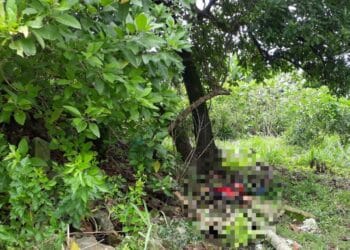 Apenado é encontrado morto em Candeias do Jamari