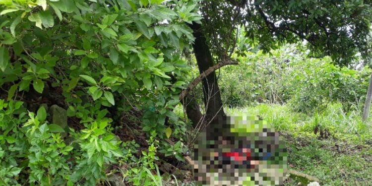 Apenado é encontrado morto em Candeias do Jamari