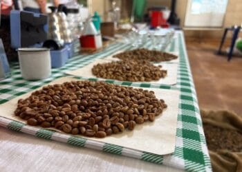 Prazo para recadastramento de associações, entidades e cooperativas é prorrogado até o final de maio