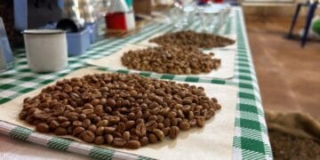 Prazo para recadastramento de associações, entidades e cooperativas é prorrogado até o final de maio