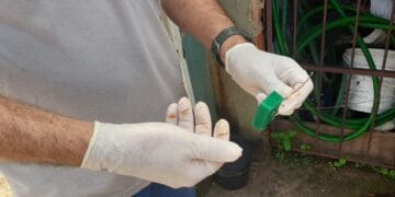 Prefeitura de Porto Velho reforça cuidados e prevenção contra a leptospirose