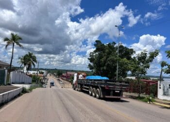 Motoristas com CNH nas categorias C, D e E devem realizar exame toxicológico até 30 de abril