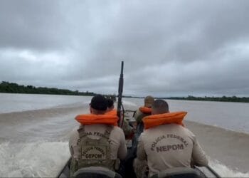 PF destrói oito balsas em operação contra garimpo ilegal de ouro no Rio Madeira