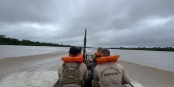 PF destrói oito balsas em operação contra garimpo ilegal de ouro no Rio Madeira