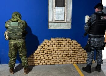 PM E PF REALIZAM MAIS UMA GRANDE APREENSÃO DE DROGAS EM RONDÔNIA