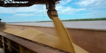 Porto Velho registra crescimento expressivo na produção de soja