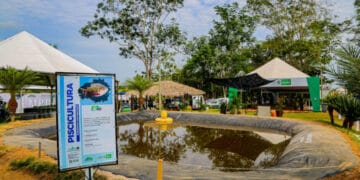 Rondônia Rural Show Internacional inicia nesta segunda-feira com o tema “Agricultura da Amazônia”