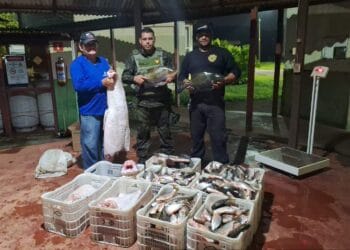 Polícia ambiental aprende 300 kg de pescado irregular na zona rural