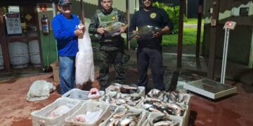 Polícia ambiental aprende 300 kg de pescado irregular na zona rural