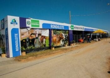 RondoLEITE vai expor plantel de animais certificados na Rondônia Rural Show