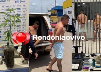 NO RESIDENCIAL: Dois acusados são presos com armas, droga e muda de maconha