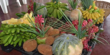 Governo de RO fortalece segurança alimentar com produtores inscritos no Programa de Aquisição de Alimentos Indígena