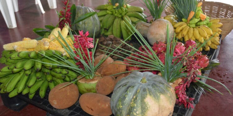 Governo de RO fortalece segurança alimentar com produtores inscritos no Programa de Aquisição de Alimentos Indígena