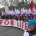 Marcha Pela Vida teve depoimento de médica ex-abortista: ‘Conheci o amor de Jesus’