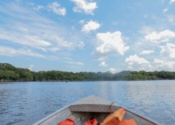 Rios de Rondônia estão subindo dentro da normalidade e abaixo da cota de alerta para enchente