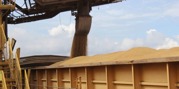 Mais de dois milhões de toneladas de insumos foram movimentados em 2024 no Porto de Porto Velho