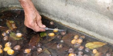 Vigilância em Saúde – Governo de RO amplia medidas preventivas e ações integradas para combater doenças transmitidas por vetores – Governo do Estado de Rondônia