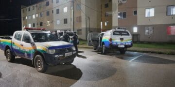 Balanço da segurança pública mostra eficiência das ações de combate à criminalidade em Rondônia