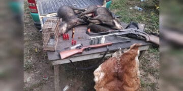 Patrulha Ambiental realiza prisão de três pessoas por crimes ambientais e porte ilegal de arma de fogo em Jaci-Paraná – Canal do Madeira