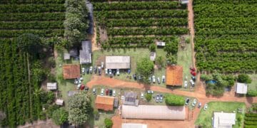 Crescimento da cafeicultura em Rondônia impulsiona visitas à Rota Turística do Café
