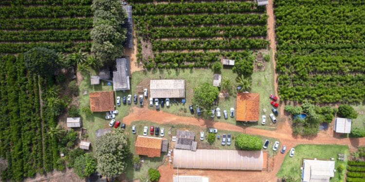 Crescimento da cafeicultura em Rondônia impulsiona visitas à Rota Turística do Café