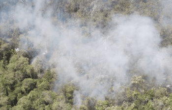 Suspeito de causar incêndio florestal que matou mais de 50 cabeças de gado em Rondônia é preso
