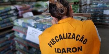 Acordo de cooperação técnica fortalece criação da Rede Nacional para Fiscalização de Sementes