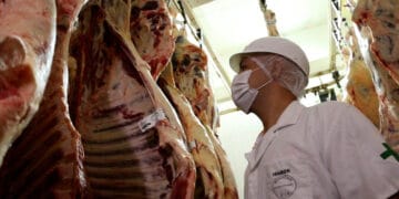 Defesa Sanitária – Rondônia registra aumento de cerca de 20% nas exportações de carne em 2024 – Governo do Estado de Rondônia
