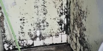 TCE-RO identifica falhas estruturais no Hospital de Base e exige providências