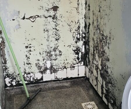 TCE-RO identifica falhas estruturais no Hospital de Base e exige providências