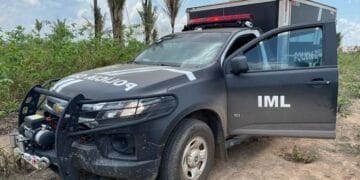 Duas pessoas são executadas em linha na BR-319 – Canal do Madeira