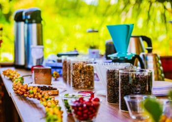 Rondônia bate recorde na exportação de café e está entre os cinco maiores exportadores do Brasil