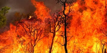 Brasil começa 2025 com mais de 3 mil focos de incêndio