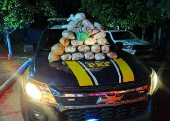 PRF realiza apreensão de maconha em Guajará-Mirim/RO