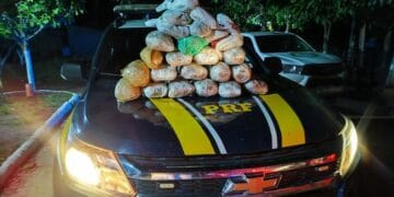PRF realiza apreensão de maconha em Guajará-Mirim/RO